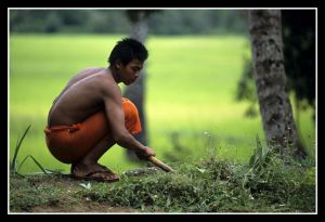 Buddhist Monks_17.jpg